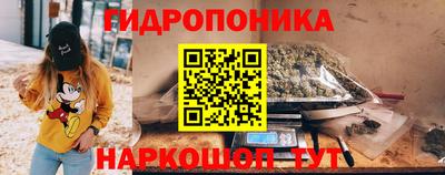 шишки Усть-Джегута