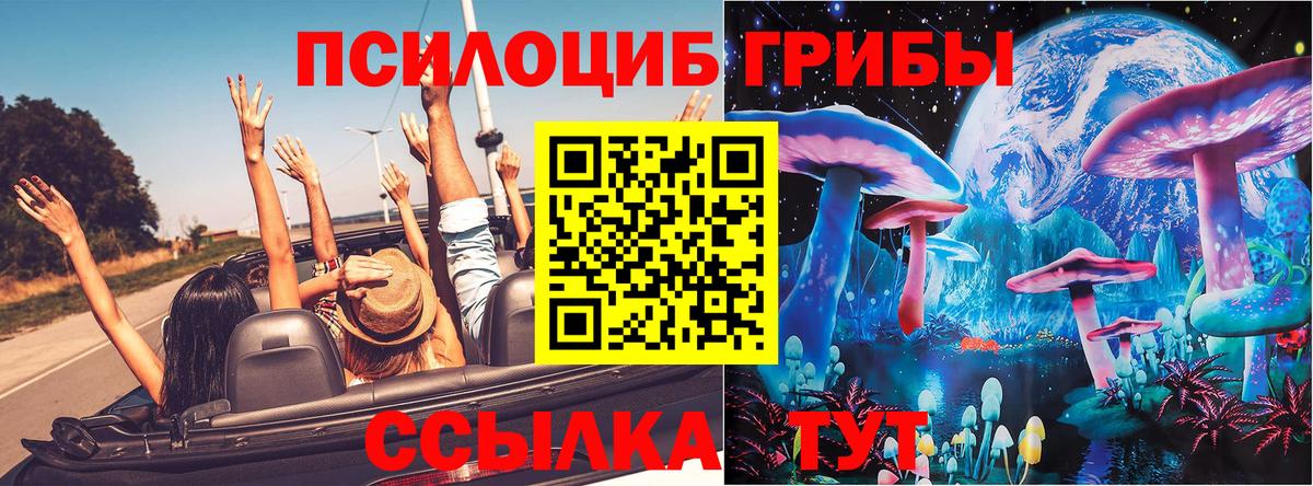 Сунжа  Псилоцибиновые грибы Magic Shrooms  Вход с VPN 